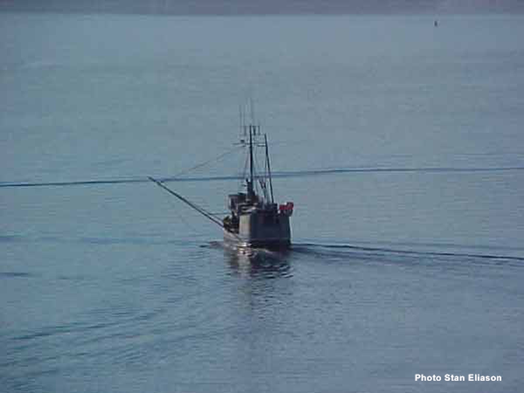 Martha K: Newsworthy Old Fishing Boat in Sitka, Alaska